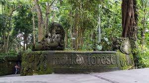 Hasil gambar untuk Monkey Forest di ubud bali